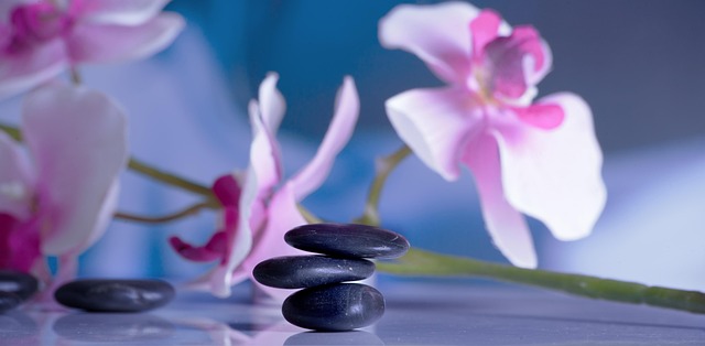 massage, recreation, relaxation, quiet, relax, wellness, recover, spa, relaxing, physio, physical therapy, meditation, health, therapy, balance, orchid, reflection, wellness, spa, spa, spa, spa, spa, meditation, meditation, meditation